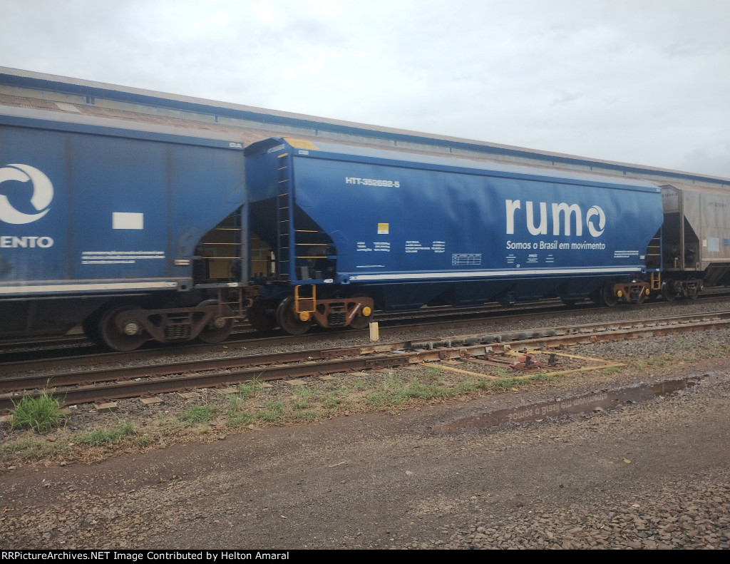 RUMO HTT-352692-5